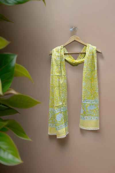 Beautiful Jaipur Print Stole / Scarf