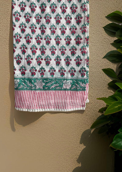 Beautiful Jaipur Print Stole/ Scarf