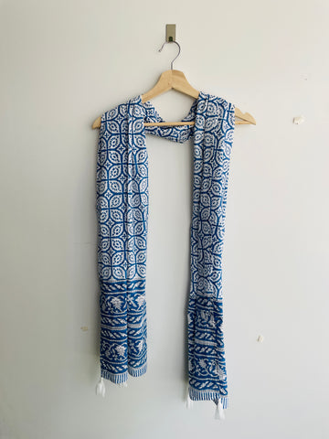 Beautiful Jaipur Print Stole / Scarf